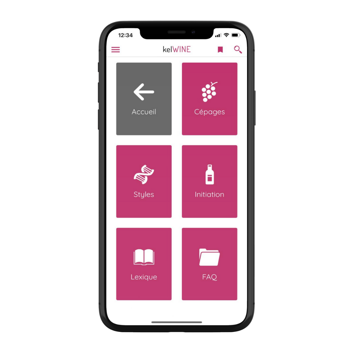 Screen Phone
